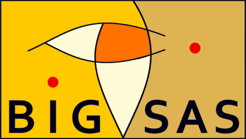BIGSAS logo